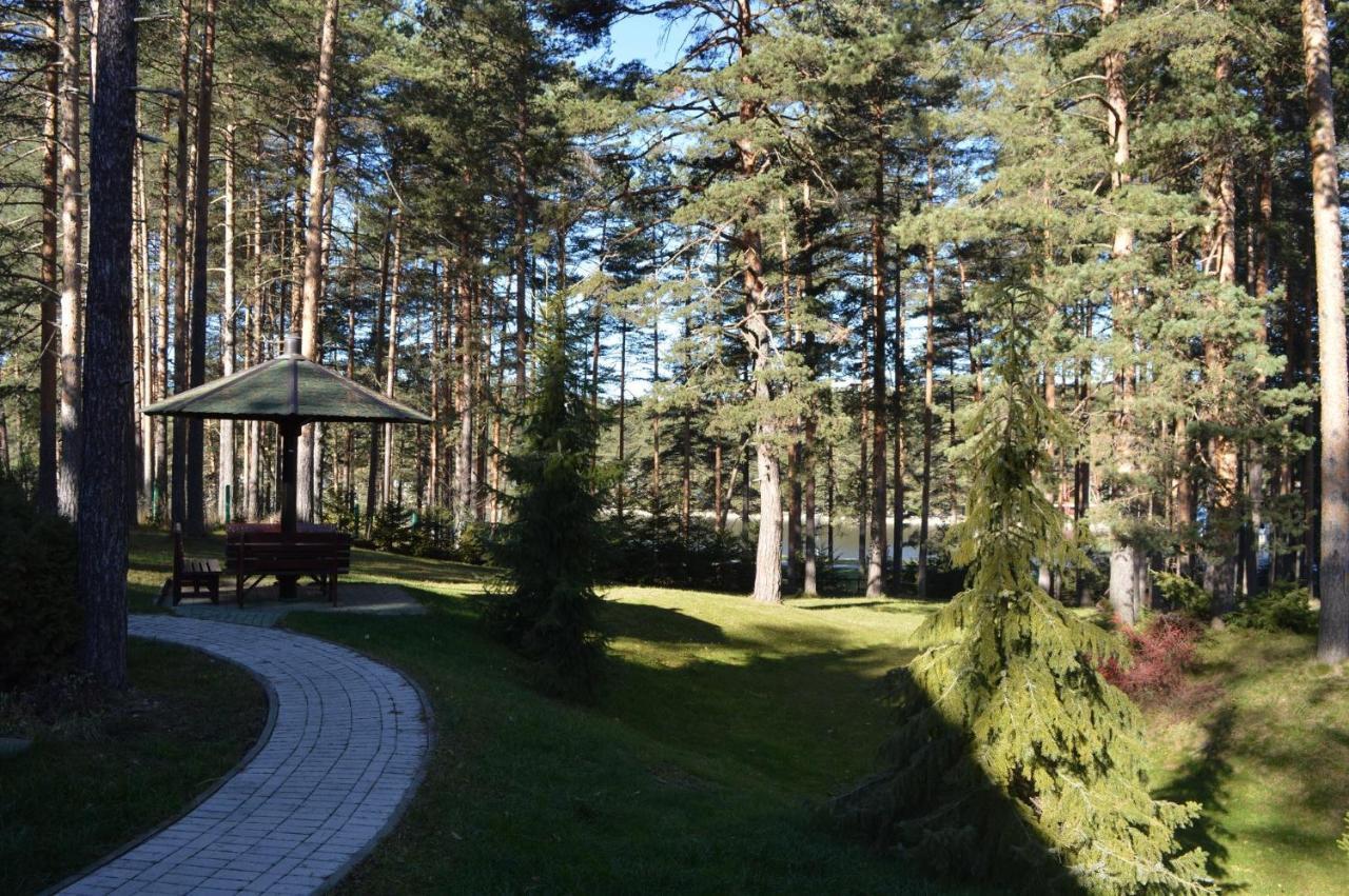 Apartamento Kraljevi Konaci - Najam Kuca Na Zlatiboru Exterior foto