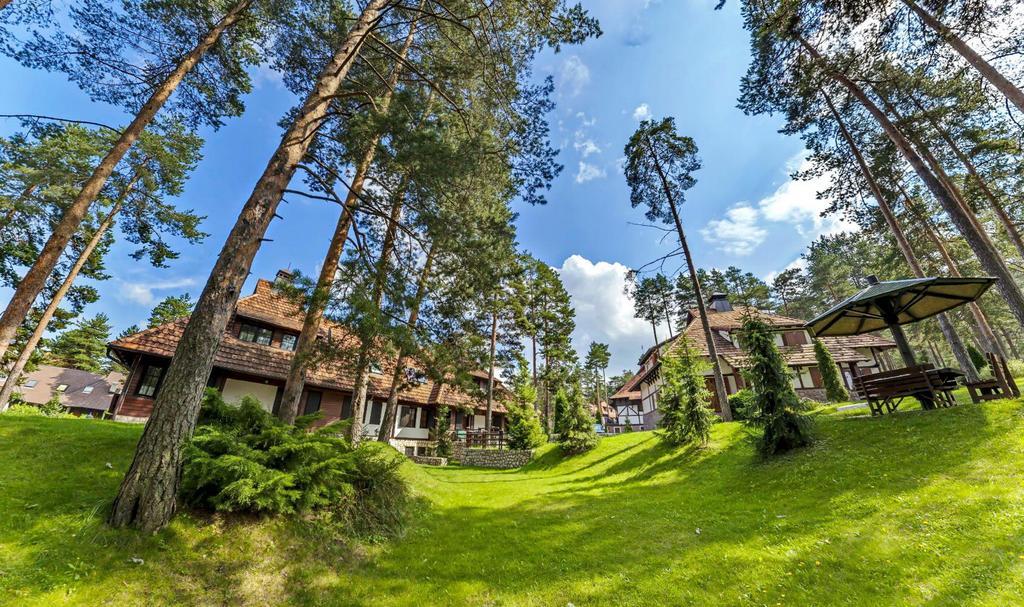 Apartamento Kraljevi Konaci - Najam Kuca Na Zlatiboru Exterior foto