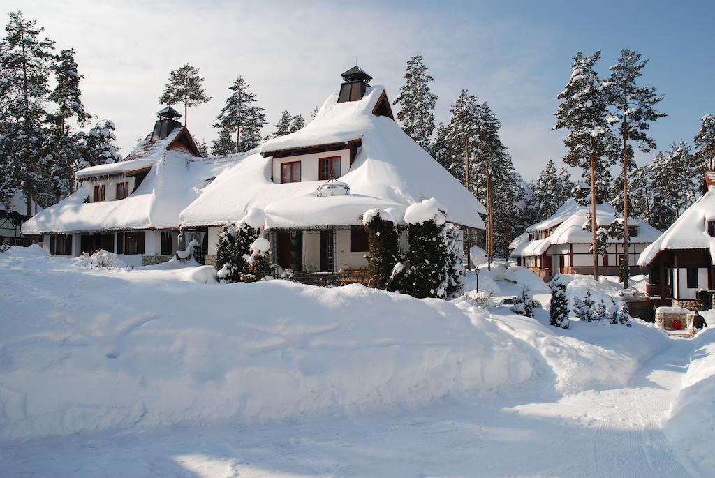 Apartamento Kraljevi Konaci - Najam Kuca Na Zlatiboru Exterior foto