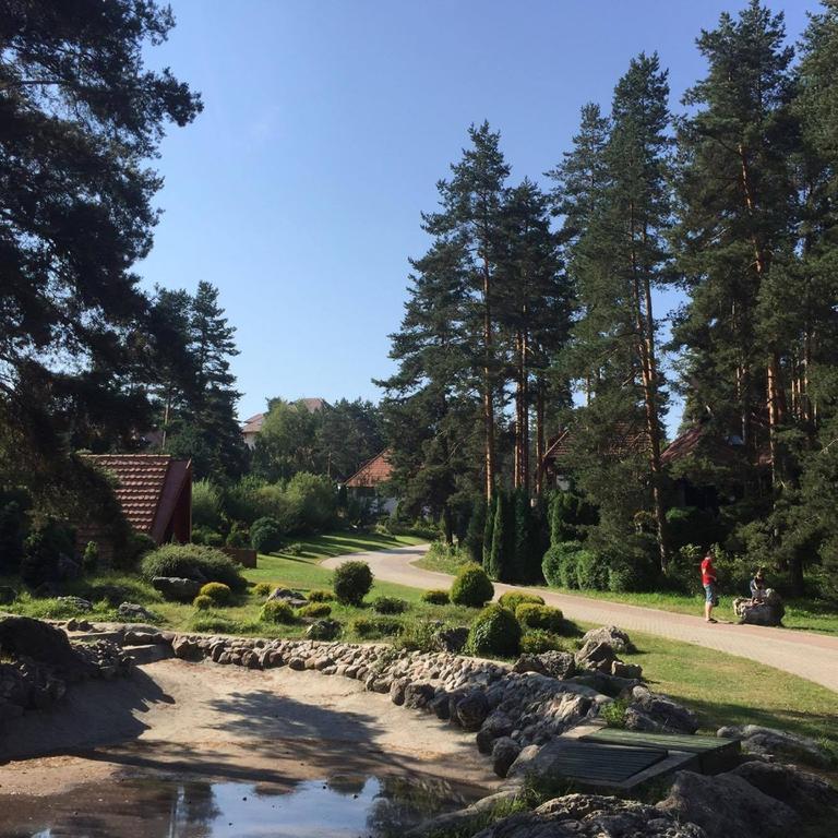 Apartamento Kraljevi Konaci - Najam Kuca Na Zlatiboru Exterior foto